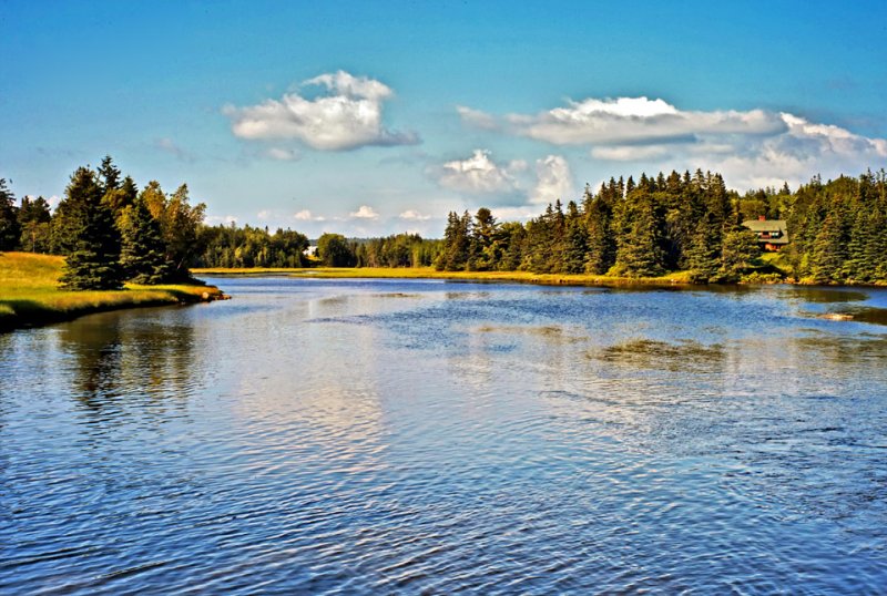 Stream, Pretty Marsh, Maine