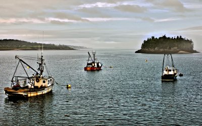 Lubec Islands