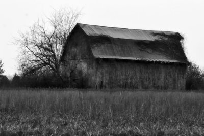 A Barn