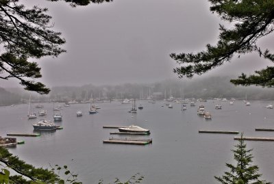 Northeast Harbor Fog