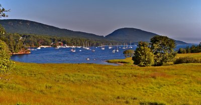 Somes Sound Fog