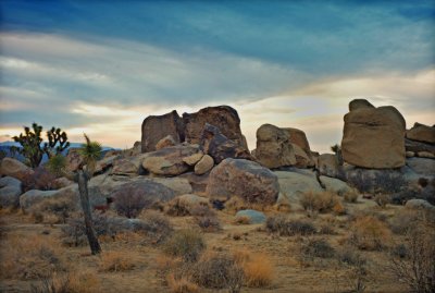 Rock Garden