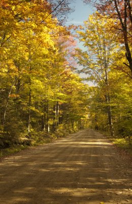 New Hampshire Country Road