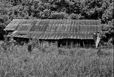 Cattle Barn, US 64