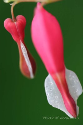 CRW_13830.jpg