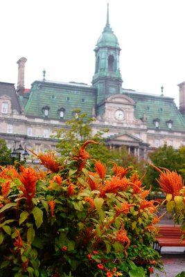 CRW_2777.jpg