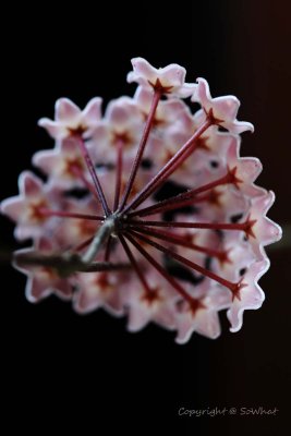 IMG_1190.jpg