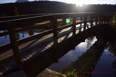 CRW_8310.jpg