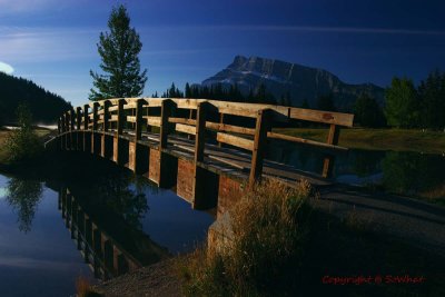 CRW_8311.jpg