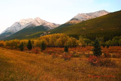 CRW_8498.JPG