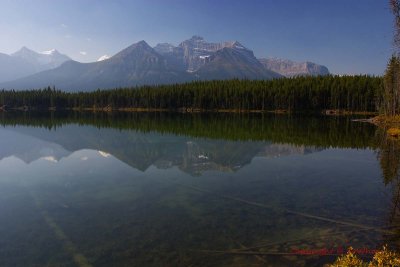 CRW_8621.jpg