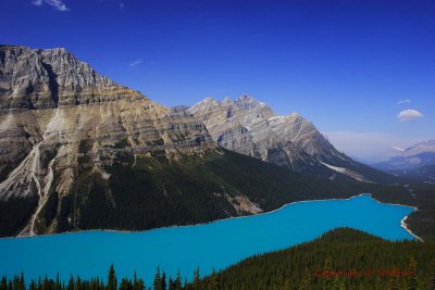 CRW_8632.JPG