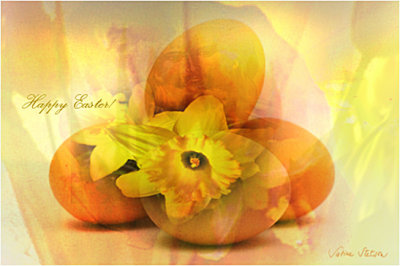 g3/19/10419/3/123282380.MLdoWNy8.jpg