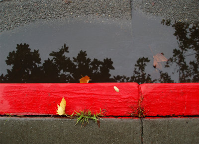 weather creating a scene in the gutter.jpg