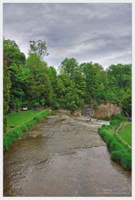 DSC_6703 ds.jpg