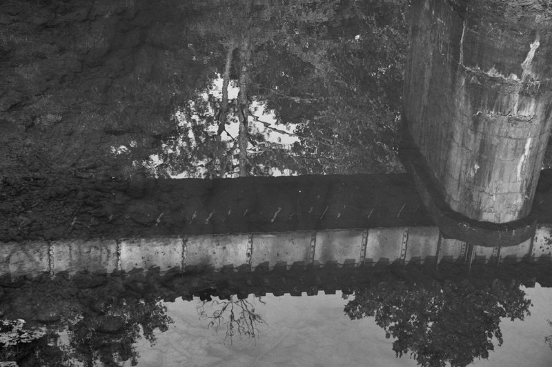 Reflections in Black and white