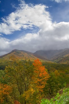 Mountain magic