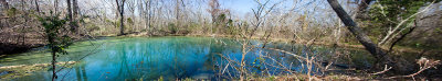 A very deep natural spring hidden in the woods in Anniston Al.