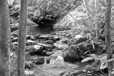 Small Waterfall, Cherokee Tn.