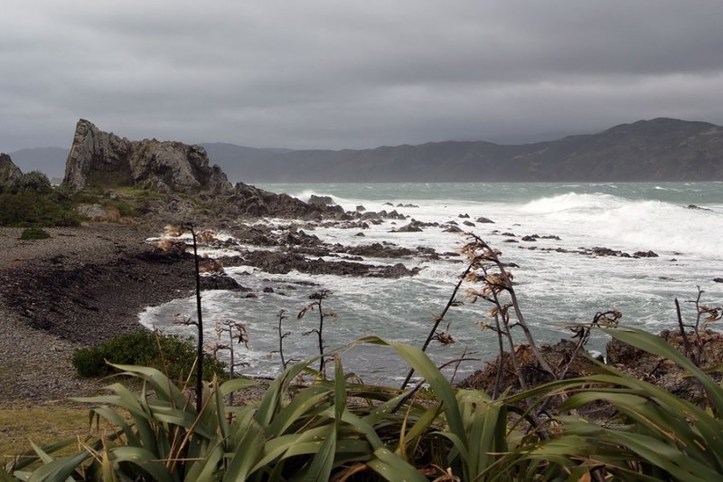 near Breaker Bay