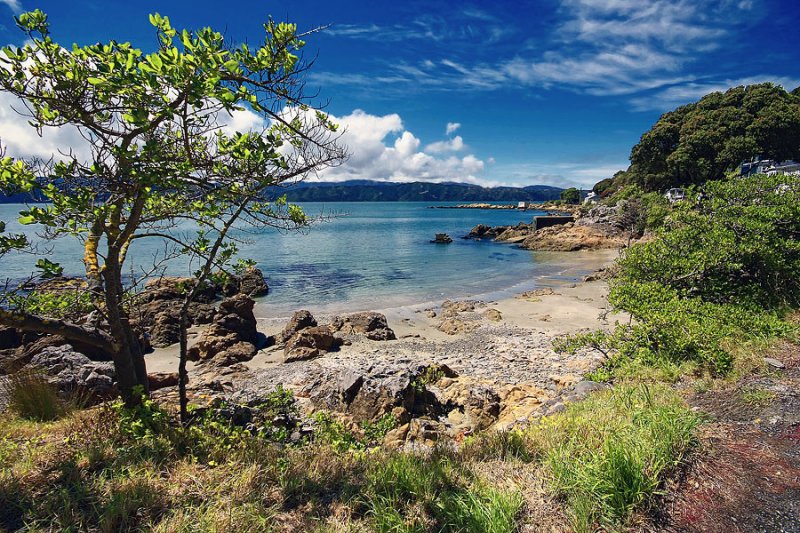 Karaka Bays - Topaz Detail, deep blue sky