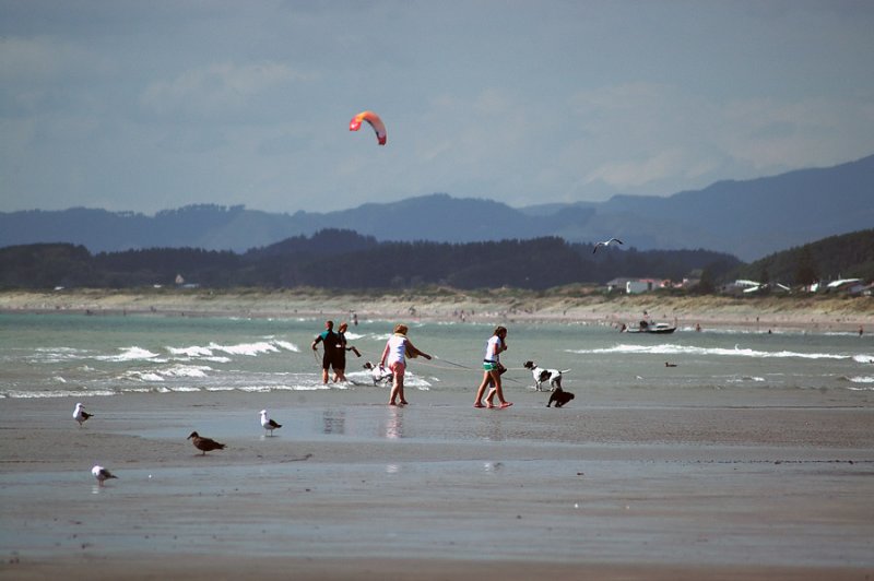 Waikanae Beach