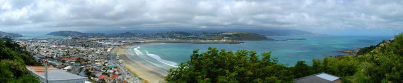View over Lyall Bay