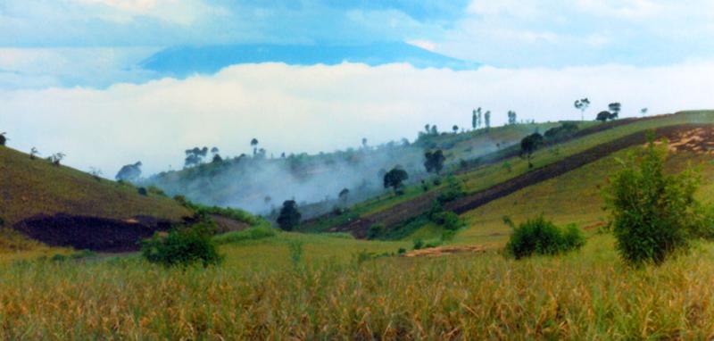 Hills and Perfume Grass