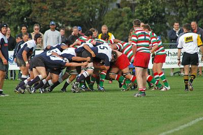 g3/19/247019/3/58747623.DSC_5088_800notascrum.jpg