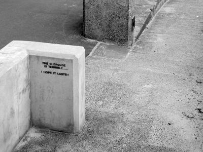 g3/19/247019/3/59038728.DSC_0210bnw800.jpg