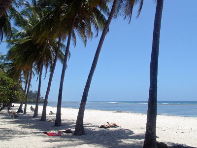 Daily life on Tiwi Beach