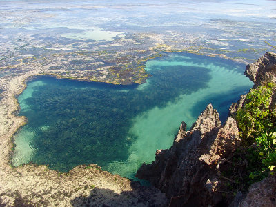 African pool from above