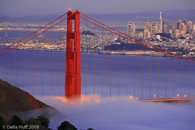 Violet Fog and Golden Gate