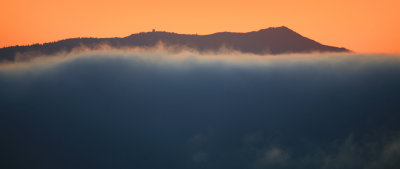Mt. Tam Fog Panorama