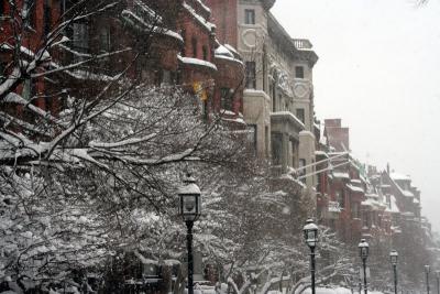 Commonwealth Avenue in Winter III