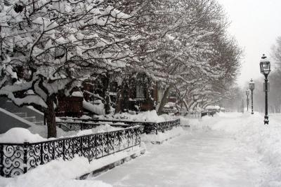 Commonwealth Avenue in Winter IV