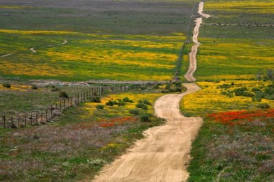 California Backroads