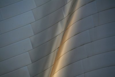 Walt Disney Concert Hall Abstract