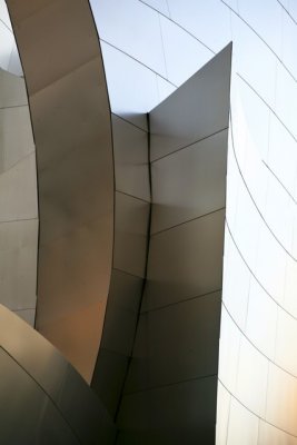 Walt Disney Concert Hall Abstract