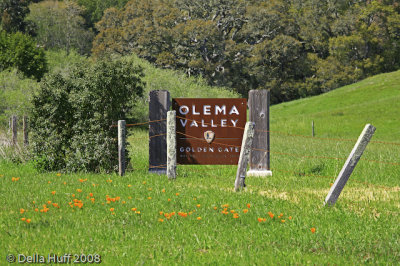 Olema Valley, Point Reyes Sign