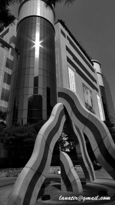 P1000127.jpg
