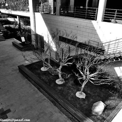 g3/19/298019/3/120391597.HA38zlaH.jpg