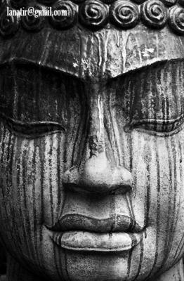 Allseeing Eyes 3