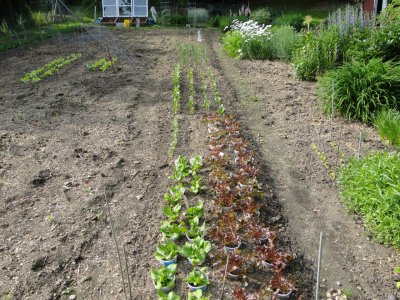 5-24-10.JPG