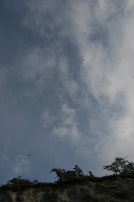 IMG_3820.JPG