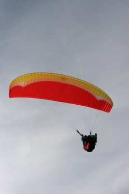 IMG_8706.jpg