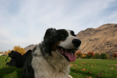 IMG_8746.jpg