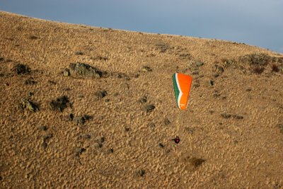 IMG_8829.jpg