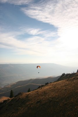 IMG_8833.jpg