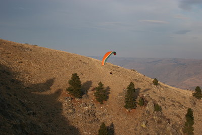 IMG_8863.jpg